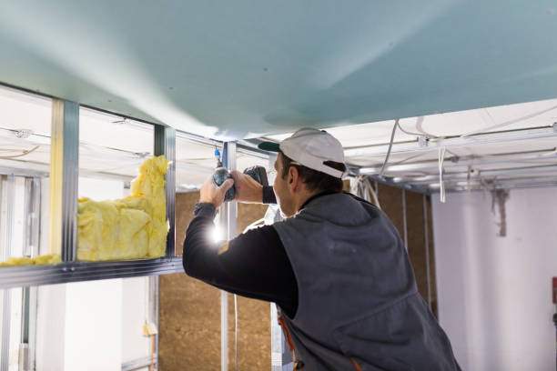 Best Insulation Maintenance and Repair in Germantown, IL