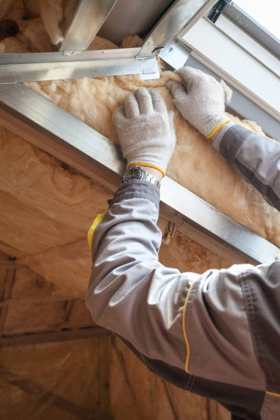 Best Insulation Installation Services in Germantown, IL